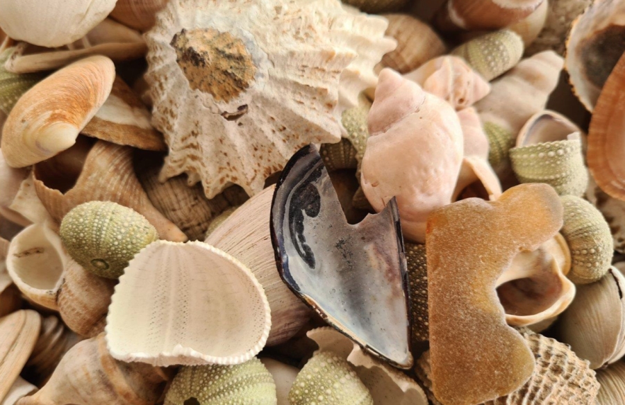 3 Bedroom Property for Sale in Sandy Point Western Cape